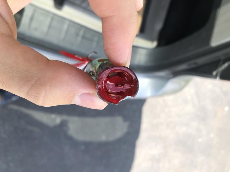 Photo submitted with review of product