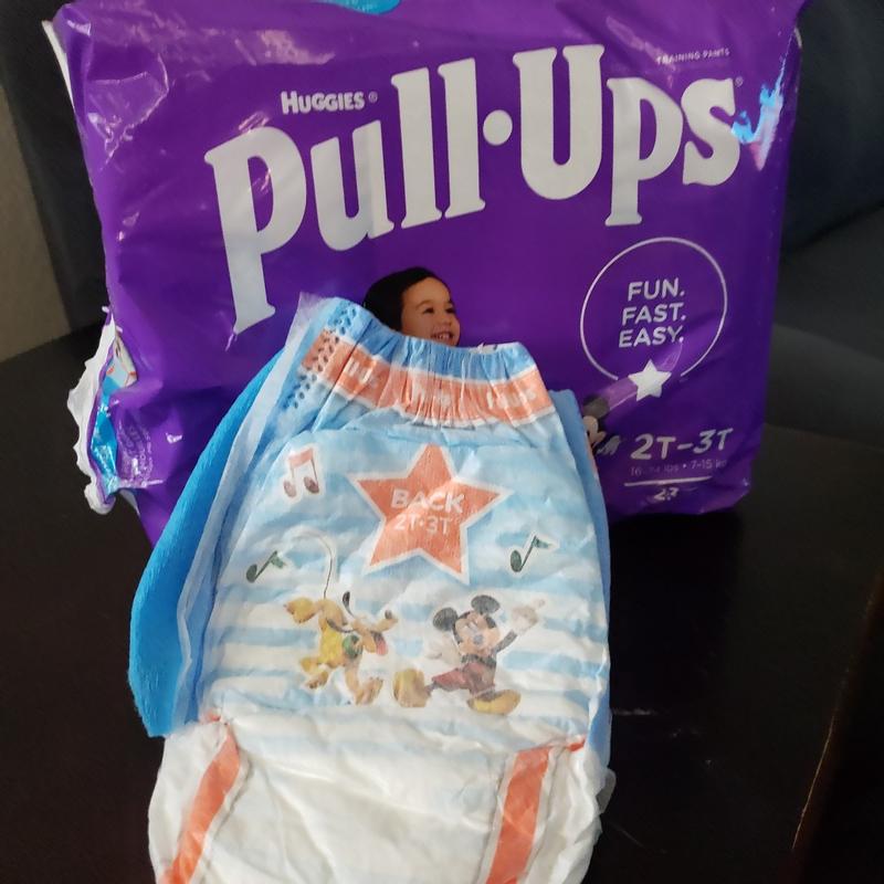 Pull-Ups Girls' Potty Training Underwear Size 4, 2T-3T, 124 Ct
