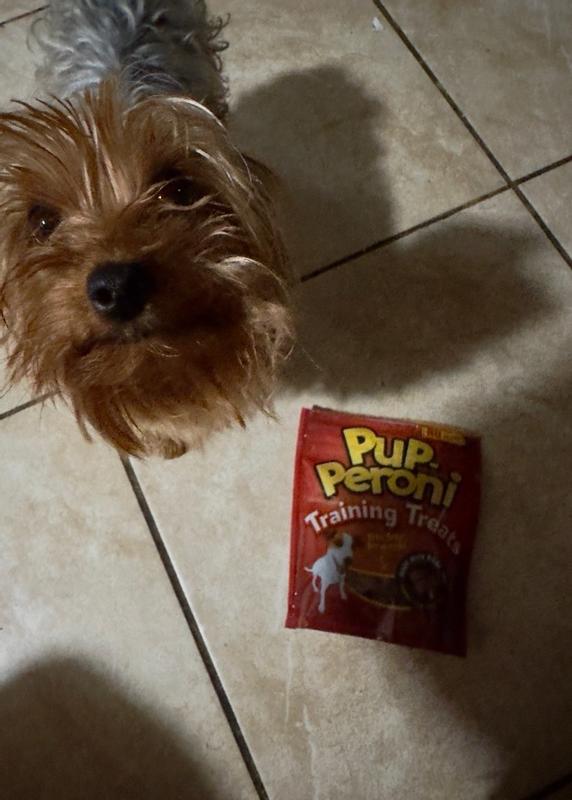 Train me dog treats cheap review