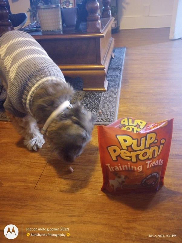 Training treats for picky dogs sales