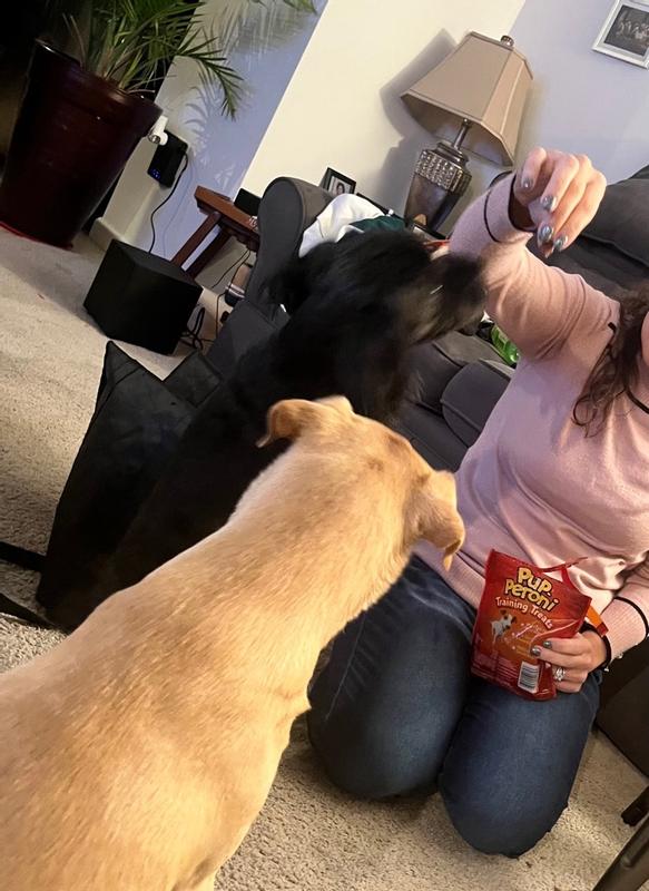 Pup peroni best sale training treats