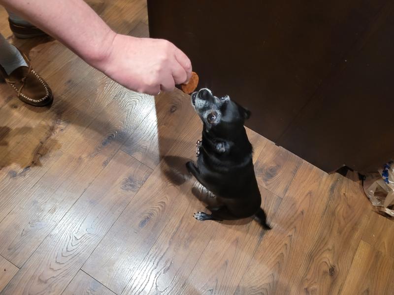 Lola can't wait for her snack!