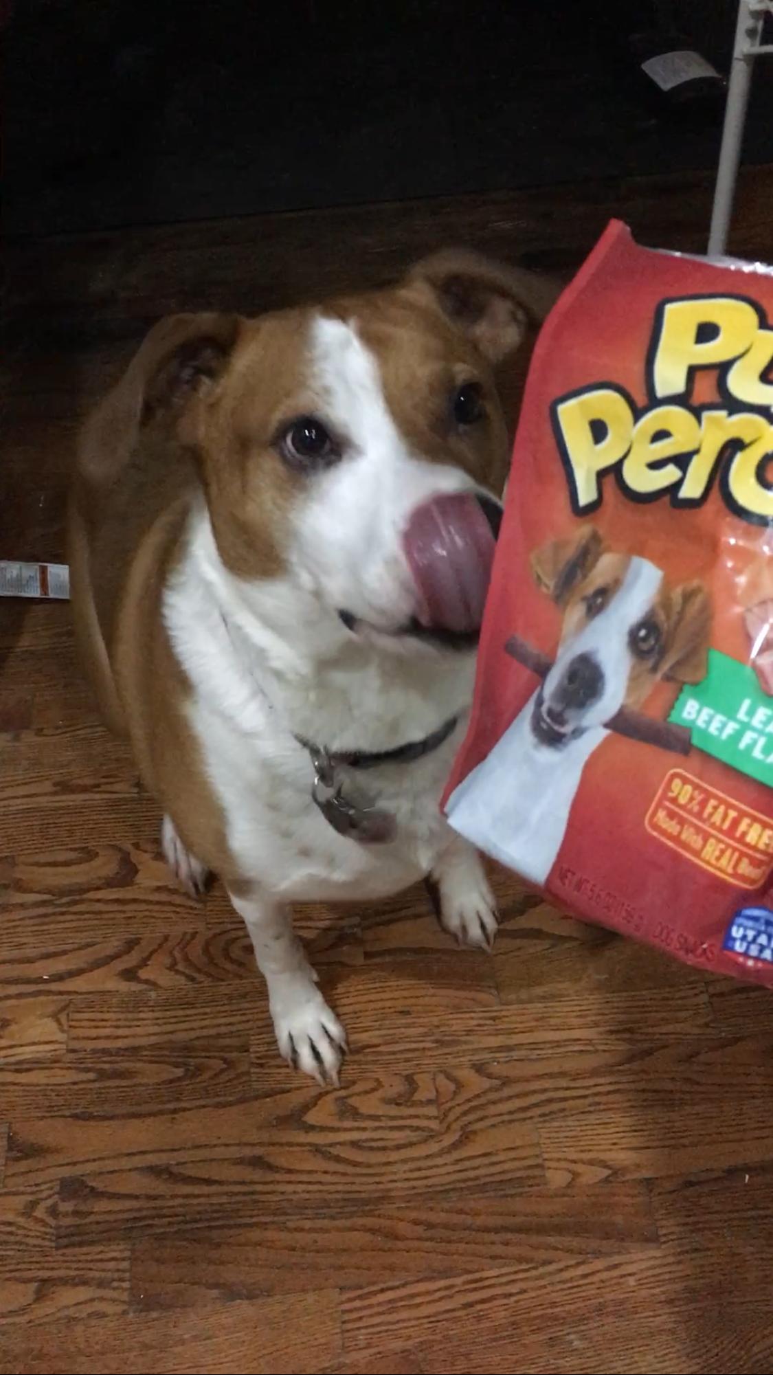 Pup Peroni Original Beef Flavor Dog Treats 5.6 oz. Petco