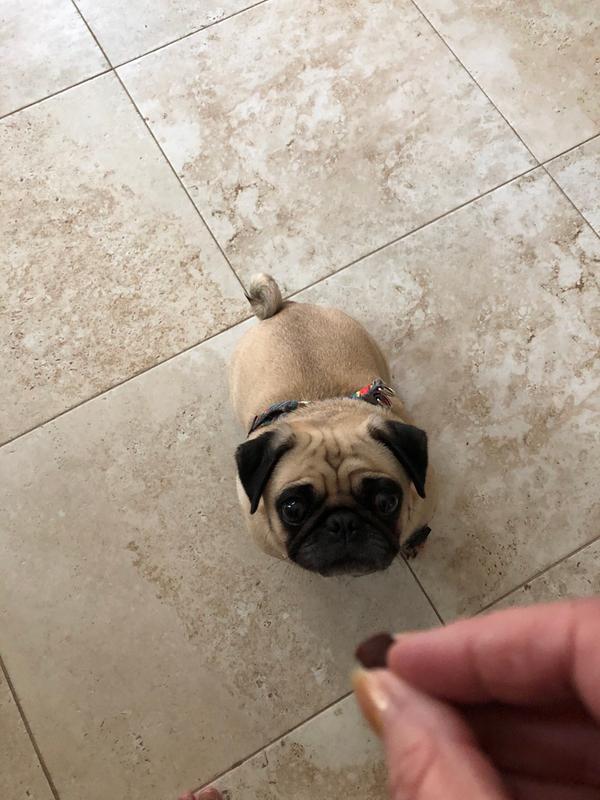 pup peroni training treats