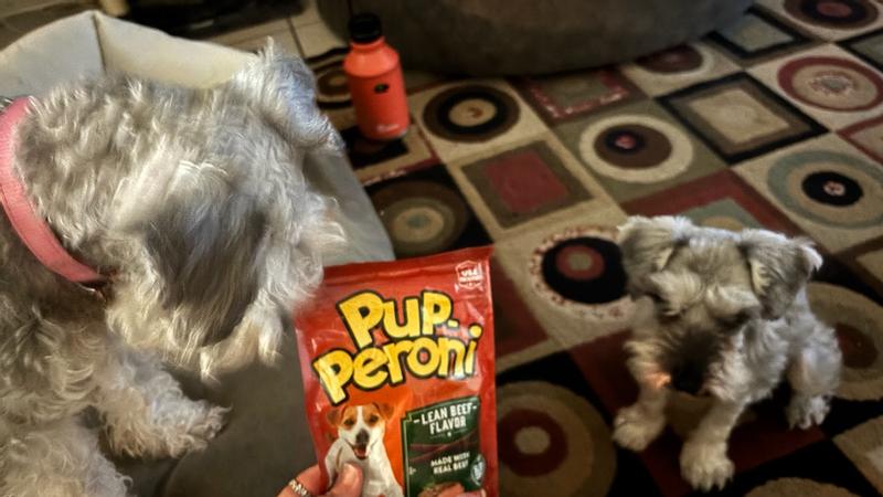 Lean Beef Flavor Dog Treats by Pup-Peroni at Fleet Farm - Main Image