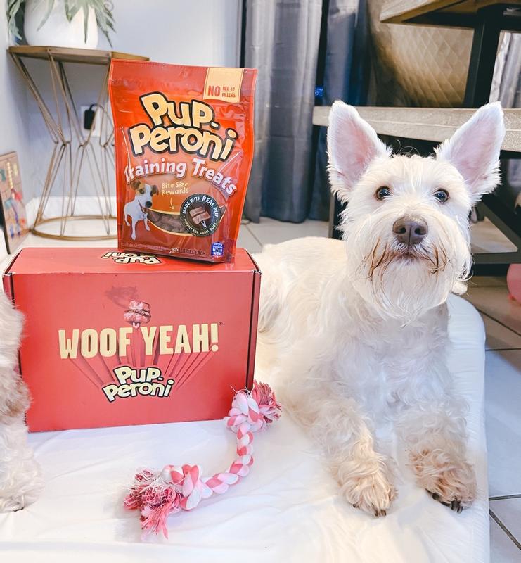 Training Dog Treats with Real Beef Pup Peroni