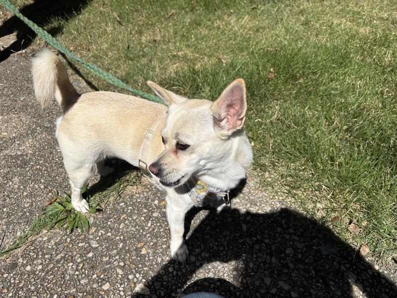 Willow here for a treat !