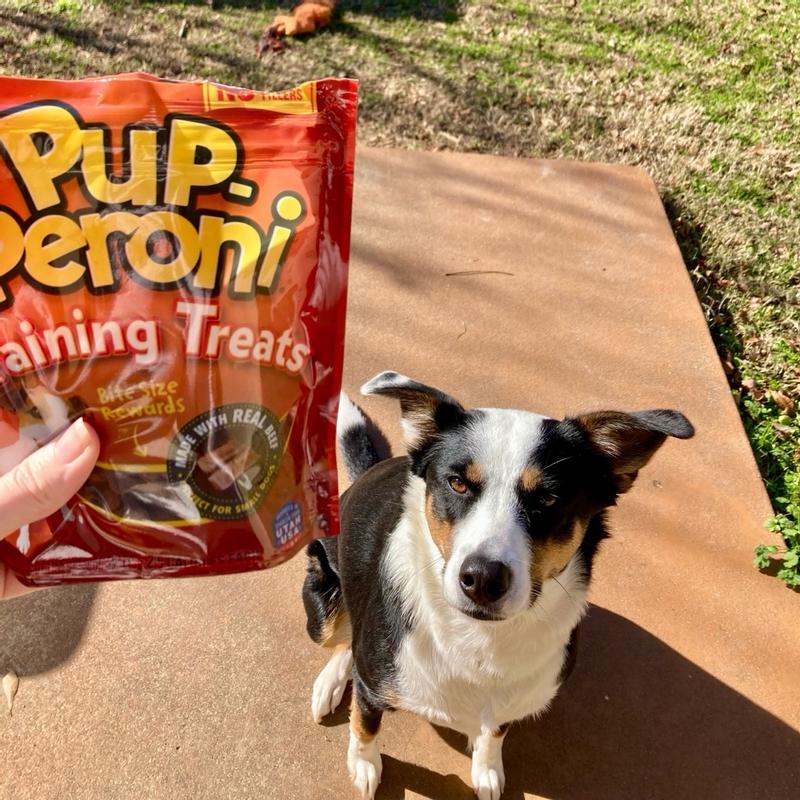 Pup peroni dog treats review best sale