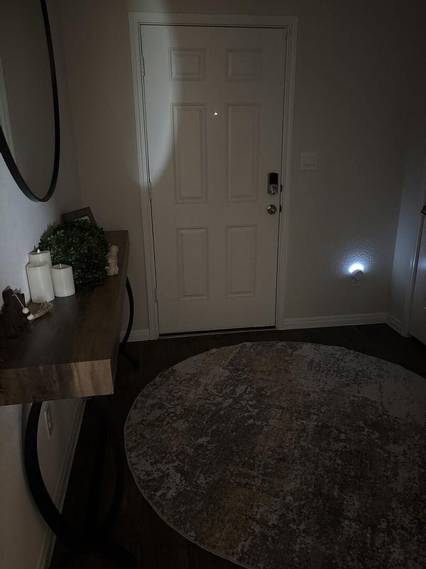 Customer photo for "Driftwood Chamomile"