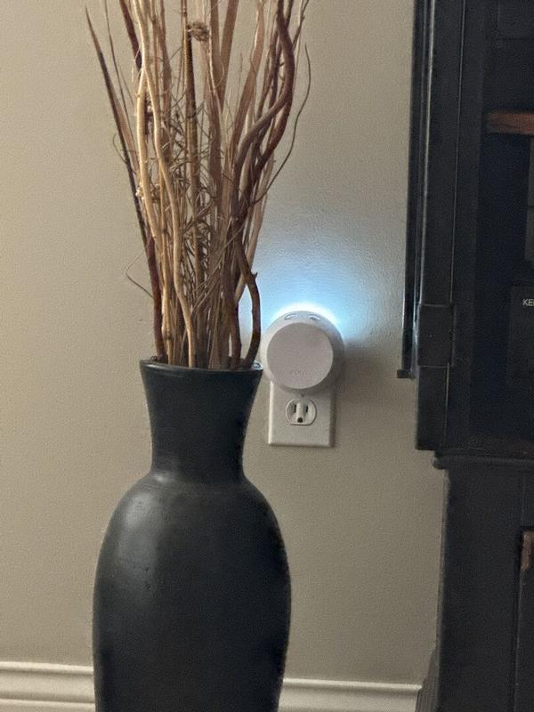 Review Thumbnail Image 0 383144174