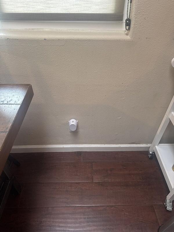 Customer photo for "Amazing Product"