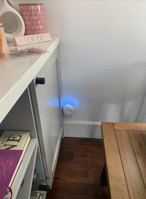 Customer photo for "This scent will make you feel ENERGIZED!"