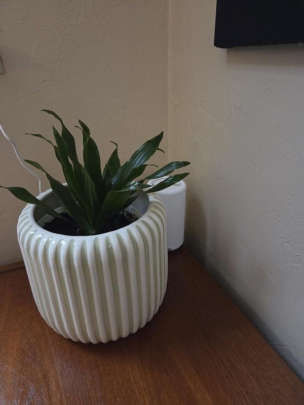 Customer photo for "Perfect for Larger Rooms"