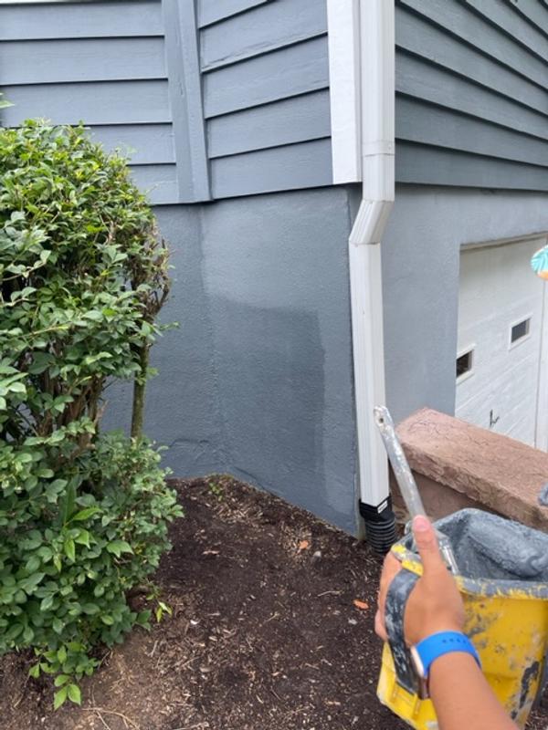 Even my wife prefers Pro Extra!