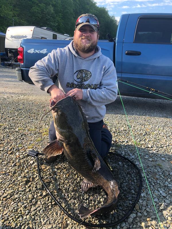 abu garcia catfish pro