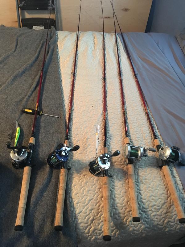 berkley cherrywood casting rod