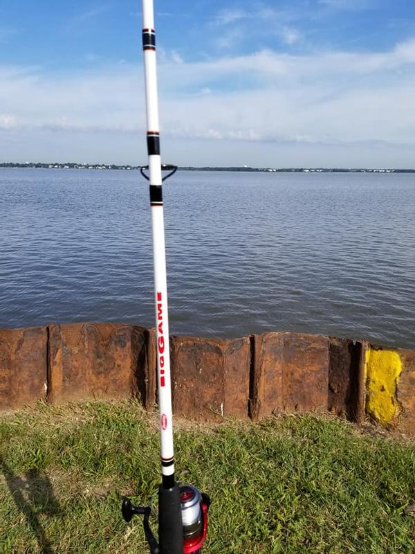 Berkely Big Game Fishing Rod - sporting goods - by owner - sale