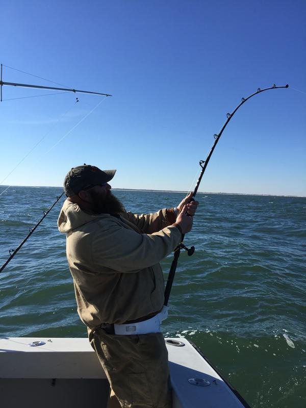 Squall® Level Wind – PENN® Fishing