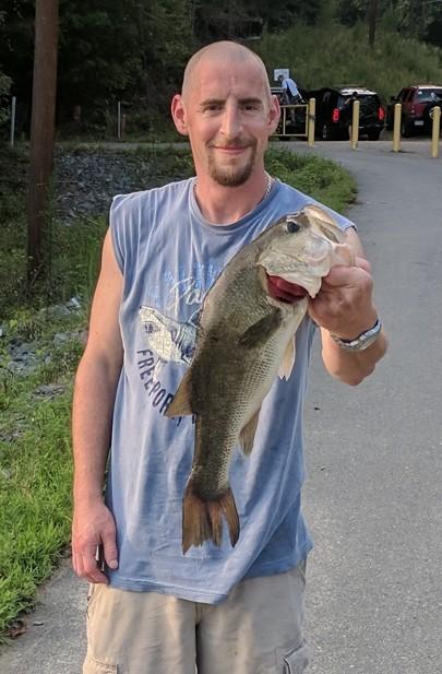 fenwick elite tech walleye casting