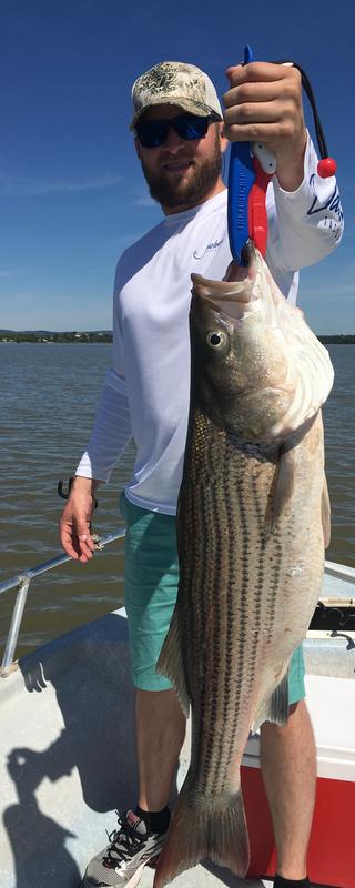 ugly stik striper casting rod