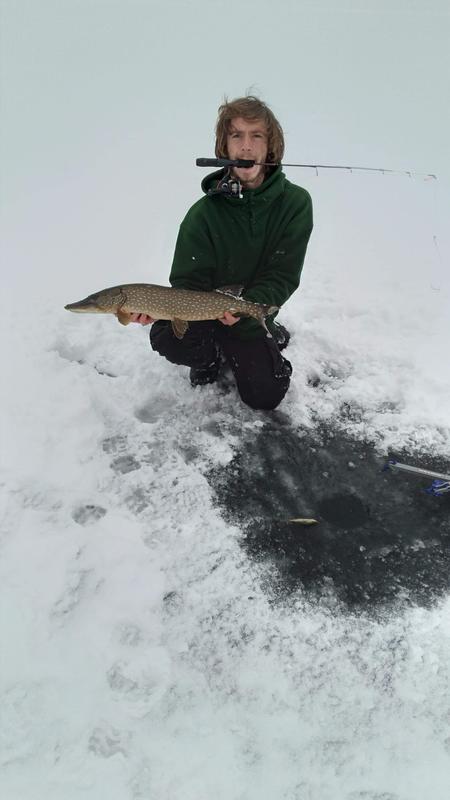 Ugly Stik GX2 Ice Fishing Rod