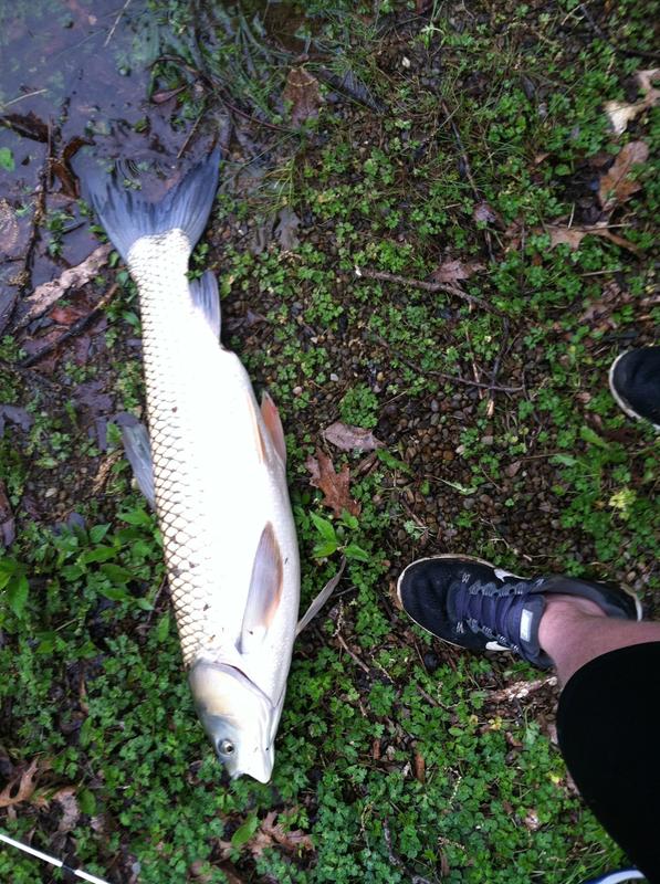 abu garcia ike dude crappie rod and reel combo