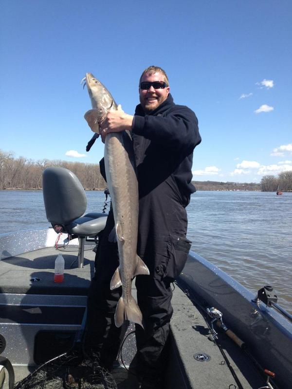 fenwick elite tech walleye casting