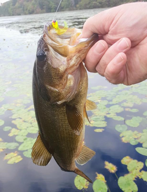 shakespeare micro series spinning combo