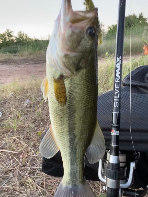 abu garcia silver max combo spinning