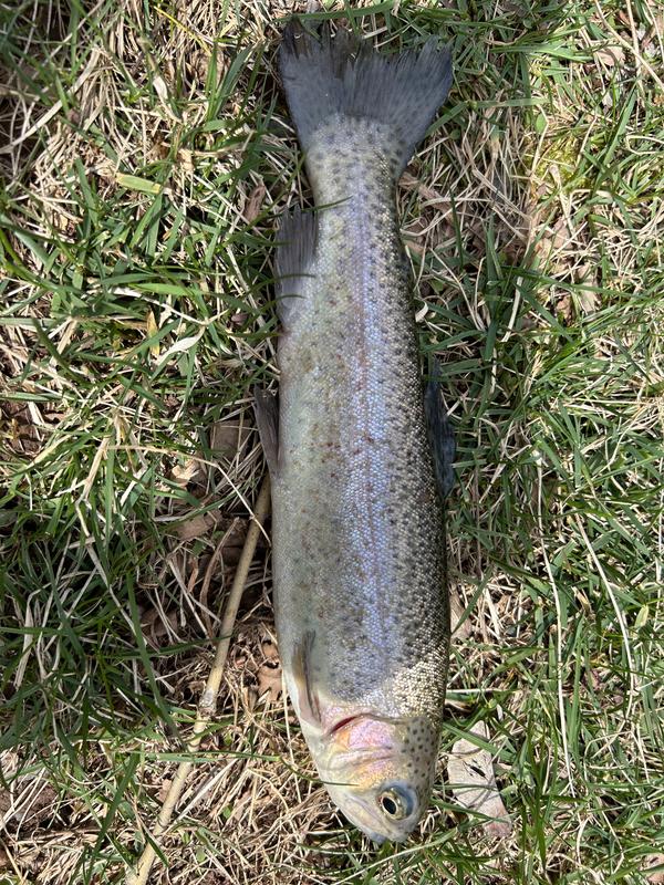 Berkley Hit Stick Fishing Hard Bait, 4-1/2-in, 1/3-oz