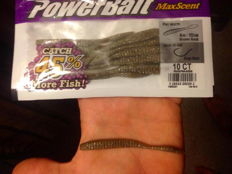 PowerBait® MaxScent Flat Worm - Berkley® Fishing US