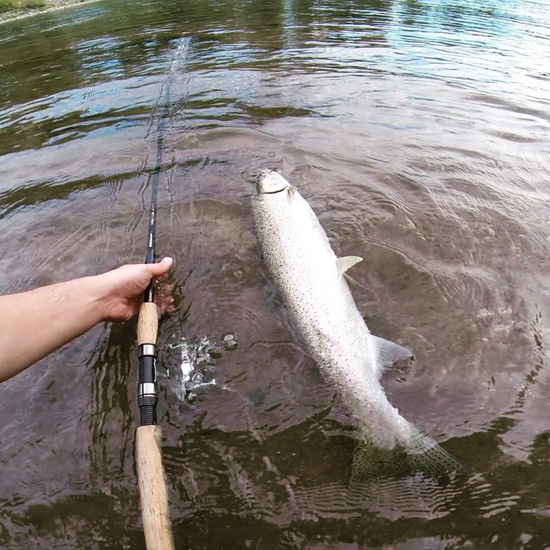 Shakespeare Wild Salmon/Steelhead Spinning Combo - 9ft, Medium