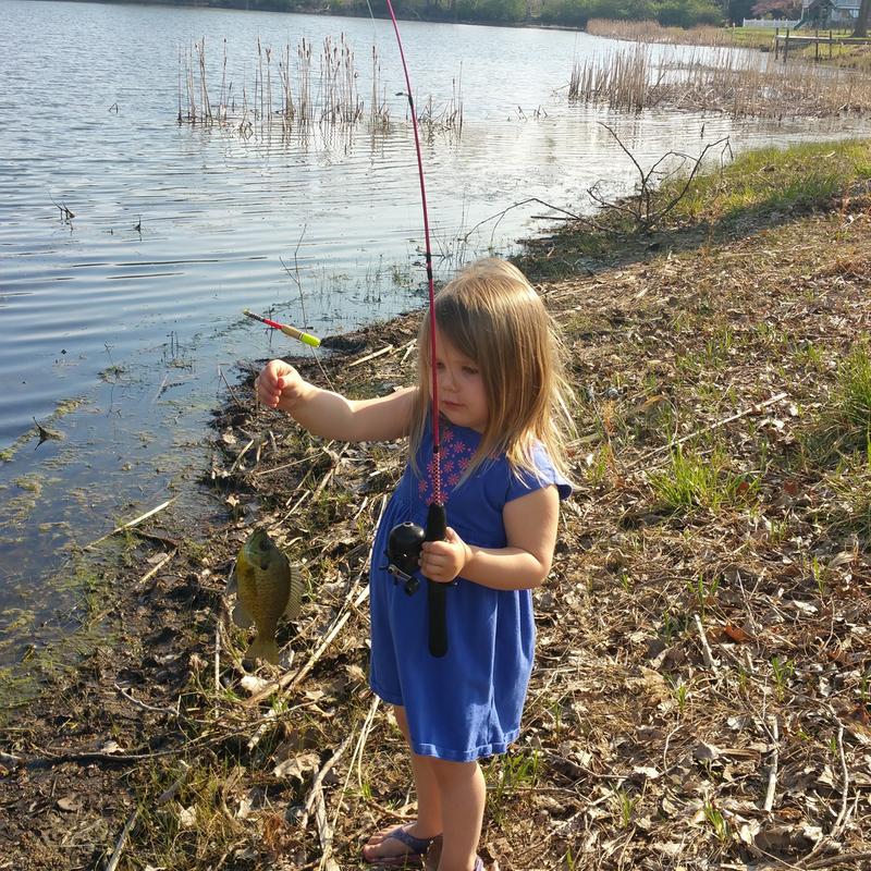 pink ugly stik