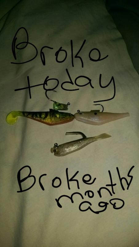 powerbait swim shad