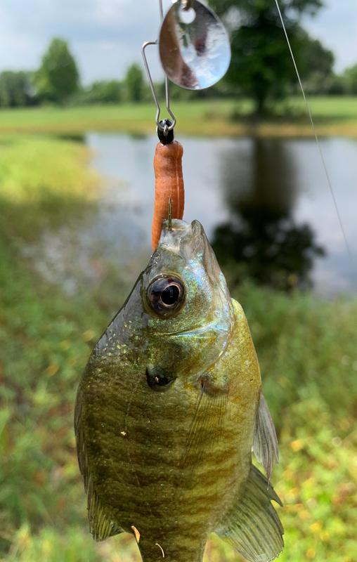 Gulp! Alive!® Floating Pinched Crawler - Berkley® Fishing US