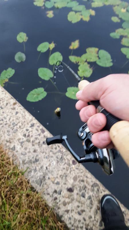 Shakespeare Micro Series rod review
