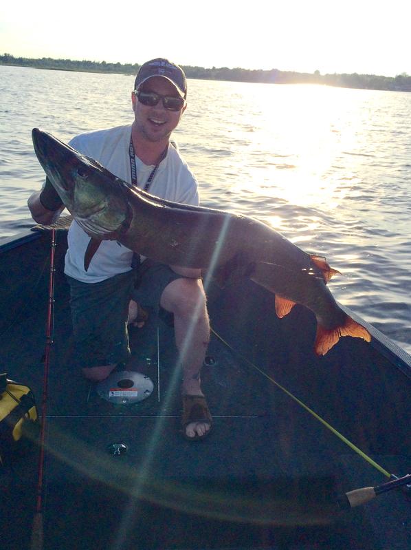 fenwick predator