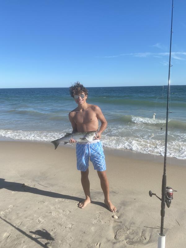 Penn Fierce Iii Spinning Combo Bass Pro Shops