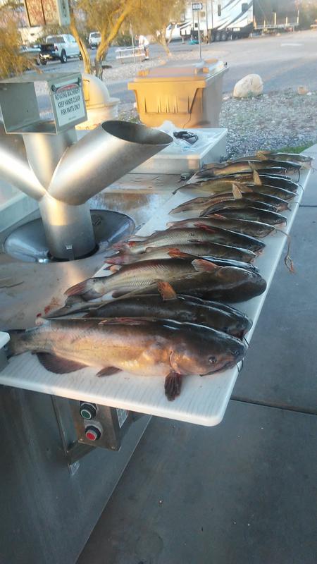 berkley worm threader