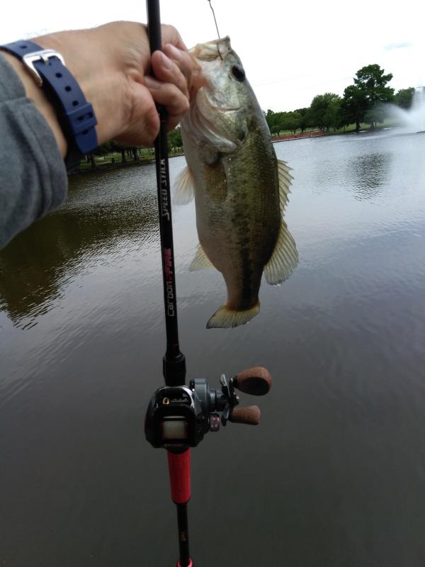 pflueger president xt low profile reel