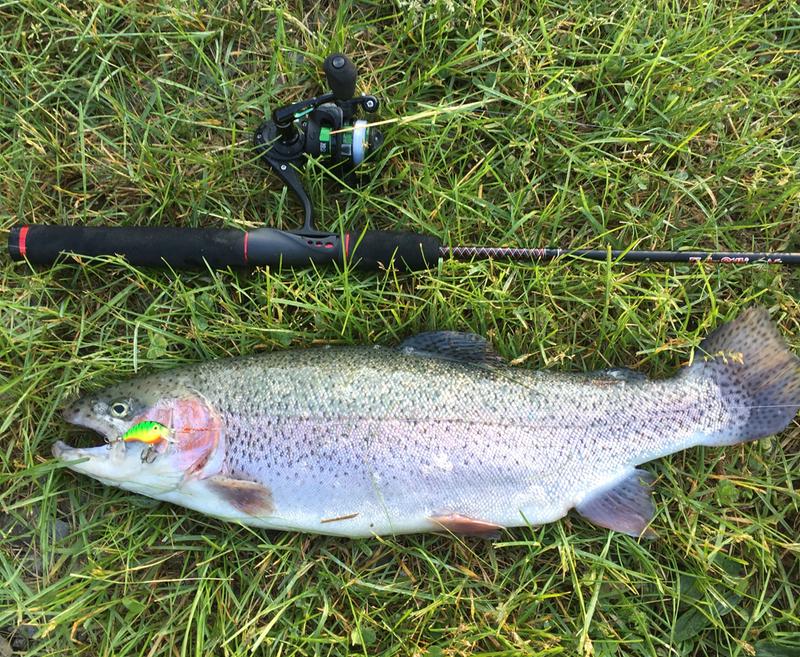 ugly stik gx2 trout