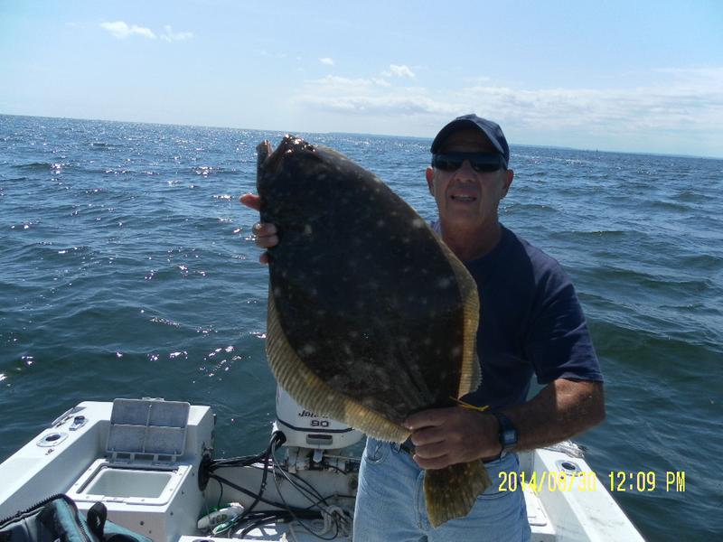 Digital Fish Scale - 50 LB - Berkley® Fishing US