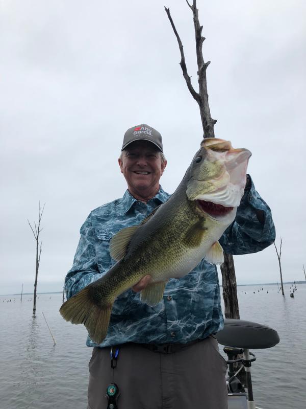 berkley powerbait pit boss