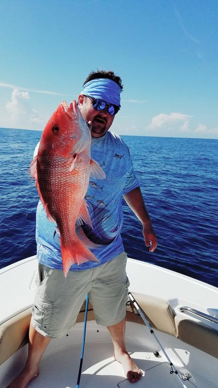 shakespeare alpha rod and reel