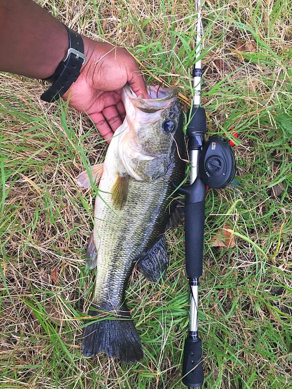 abu garcia vengeance casting rod