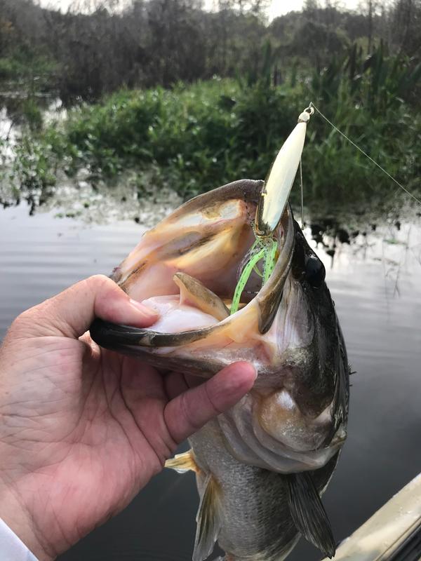 3 Fishing Lures 2 New 1 Used: Mepps Black Fury, Redfish Spoon