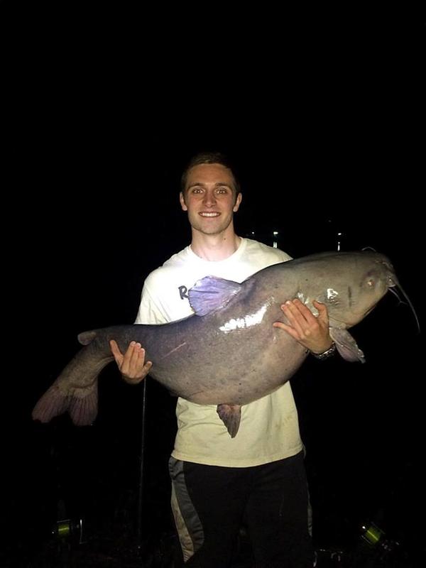 abu garcia catfish commando