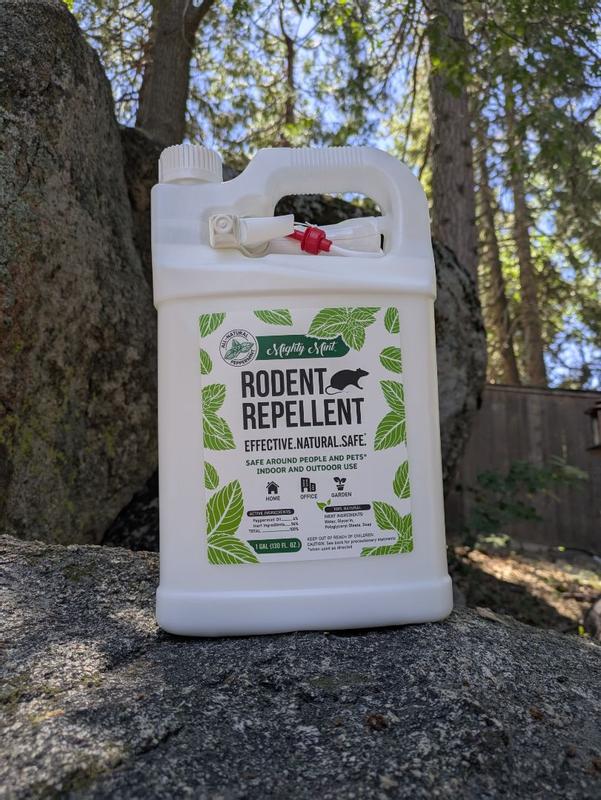 Mighty Mint Plant-Based Peppermint Rodent Repellent (Trigger Spray) in ...