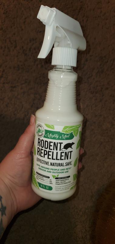 Smells good!