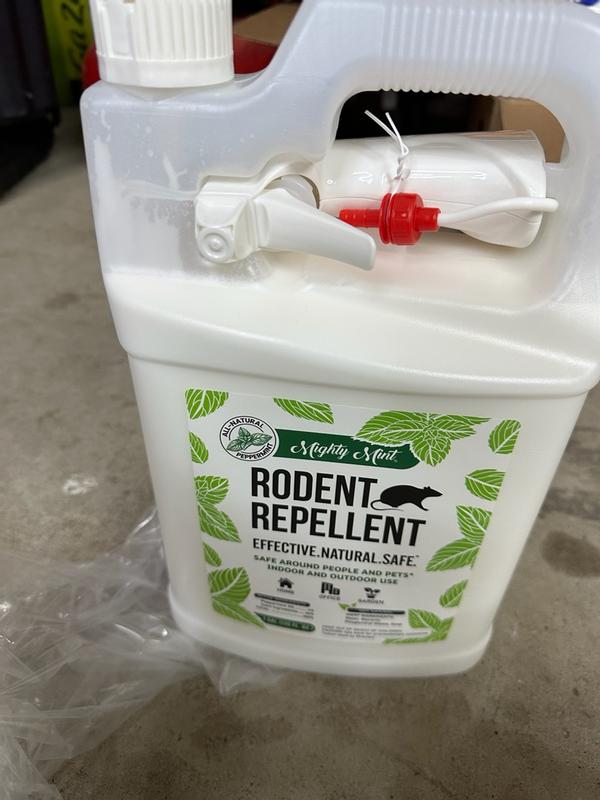 Mighty Mint Plant-Based Peppermint Rodent Repellent (Trigger Spray) in ...